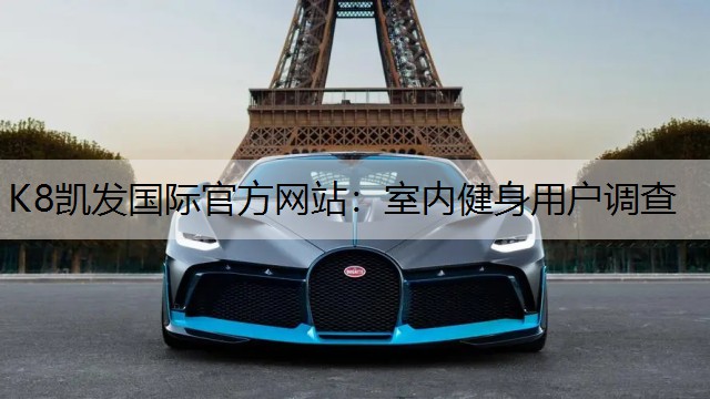 室内健身用户调查